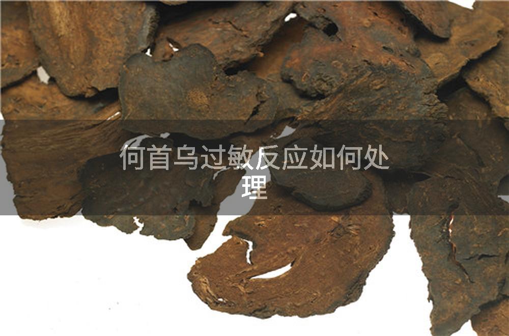 何首乌过敏反应如何处理
