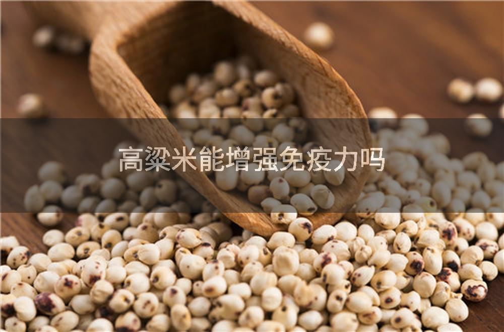 高粱米能增强免疫力吗