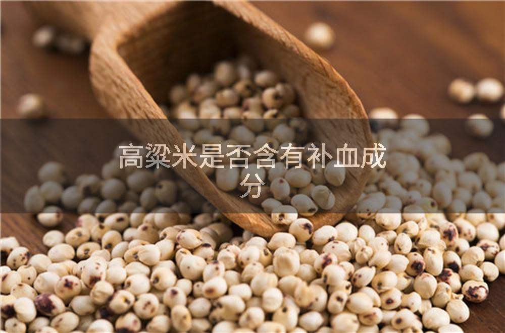 高粱米是否含有补血成分