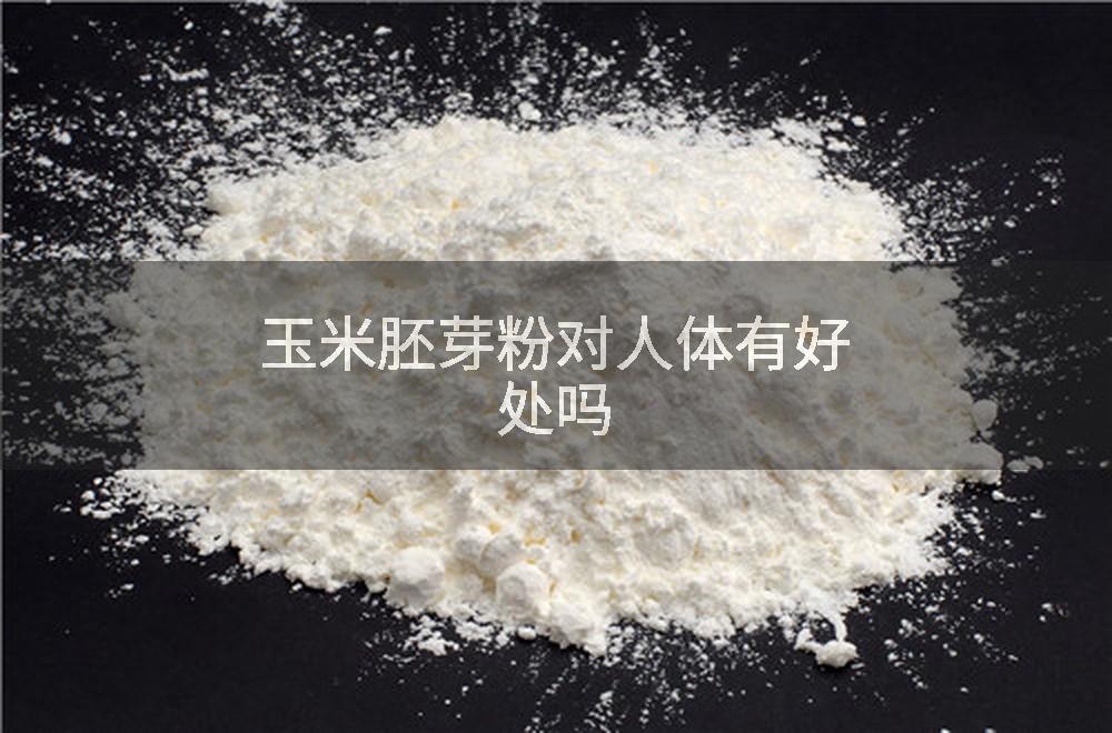 玉米胚芽粉对人体有好处吗