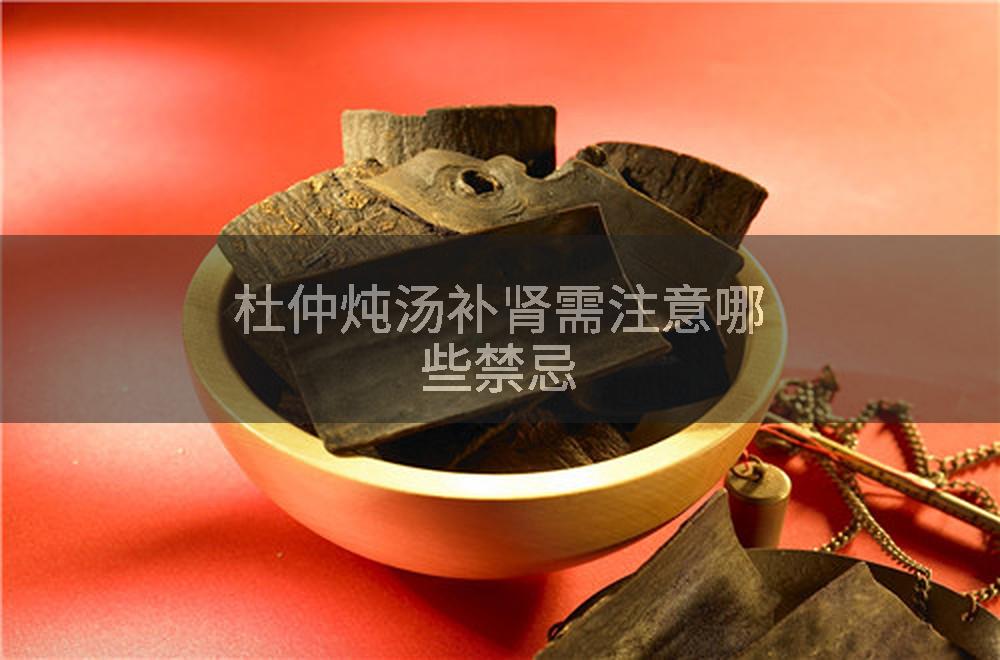 杜仲炖汤补肾需注意哪些禁忌
