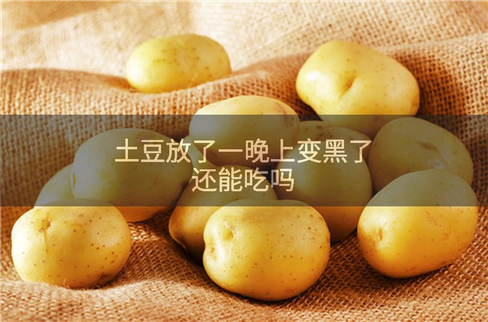 土豆放了一晚上变黑了还能吃吗