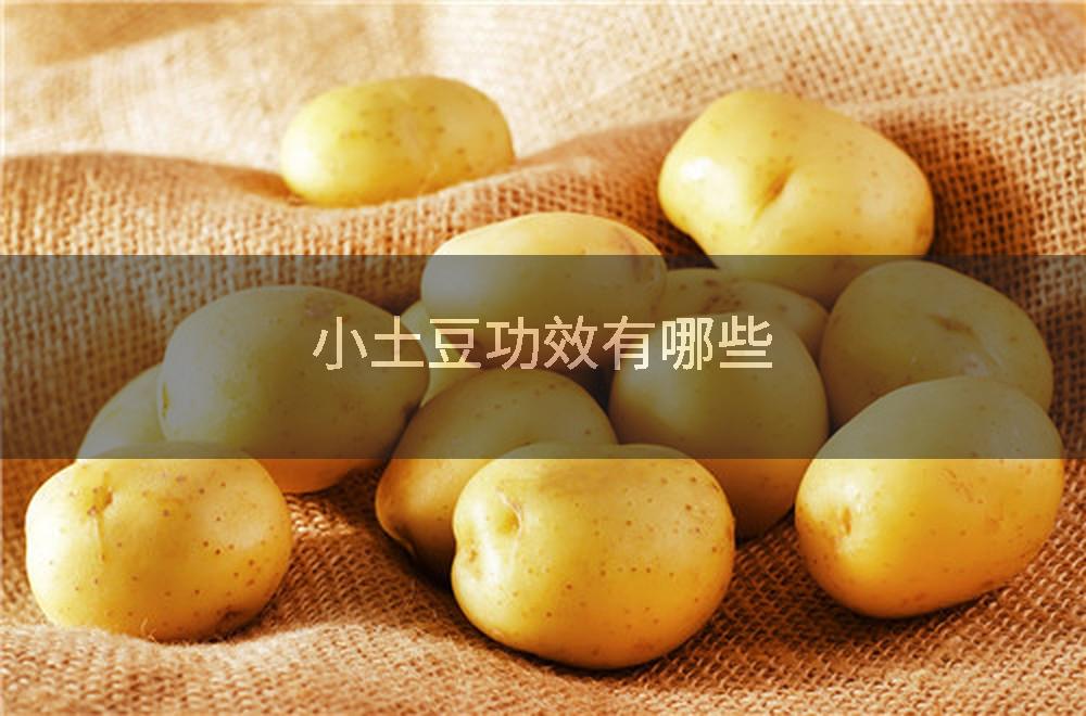 小土豆功效有哪些