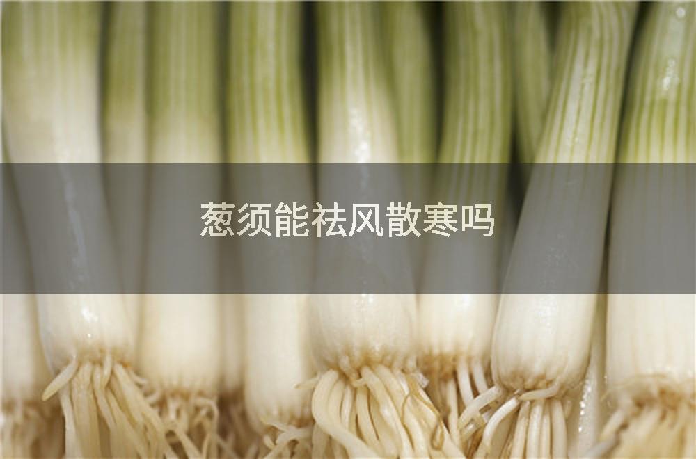 葱须能祛风散寒吗