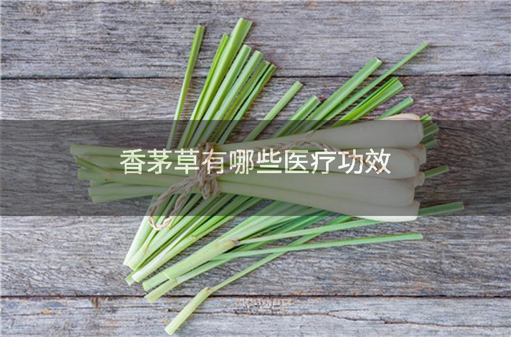 香茅草有哪些医疗功效