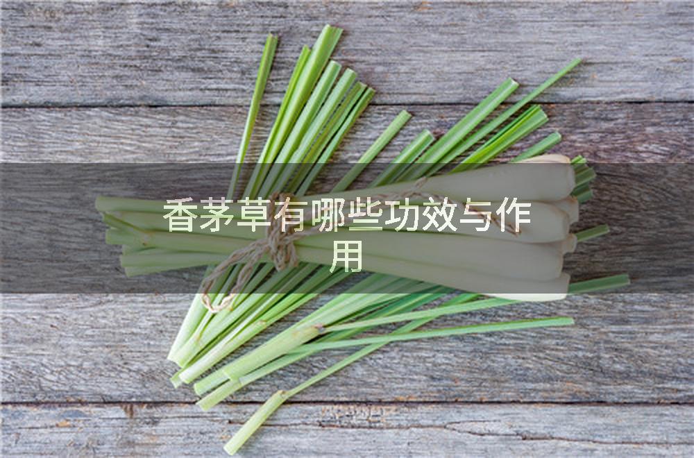 香茅草有哪些功效与作用