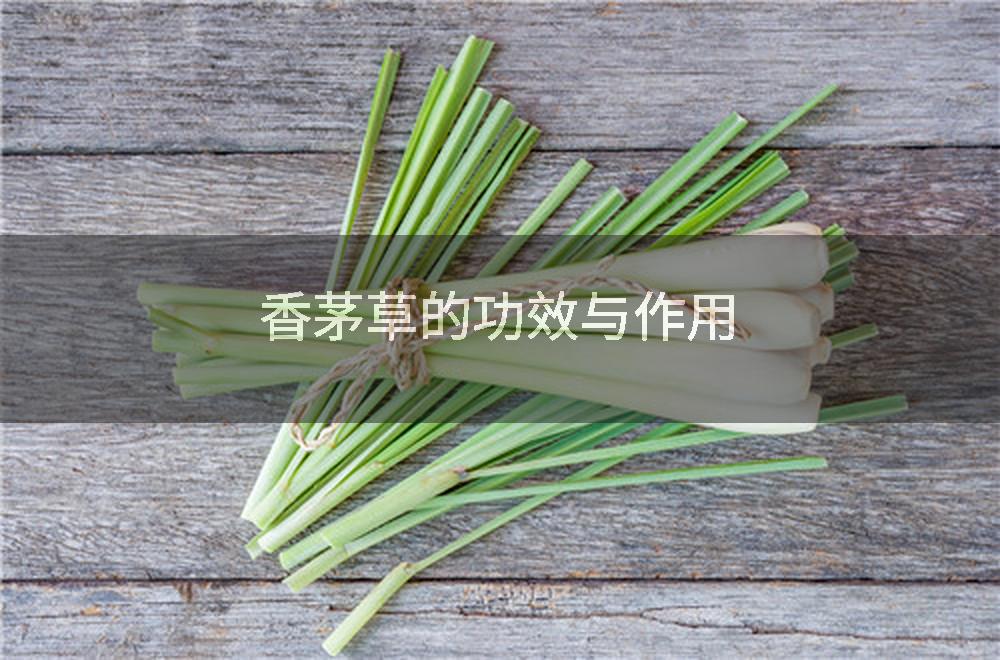 香茅草的功效与作用