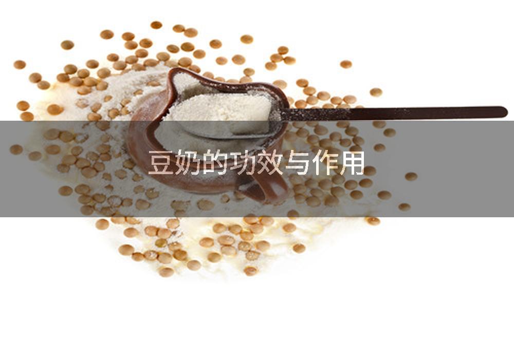 豆奶的功效与作用