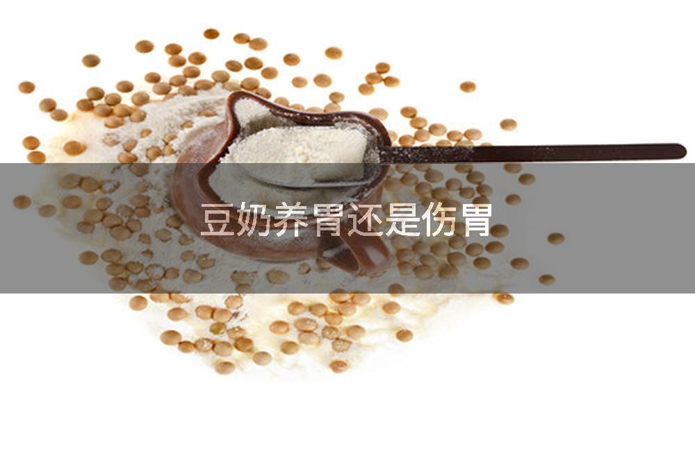 豆奶养胃还是伤胃