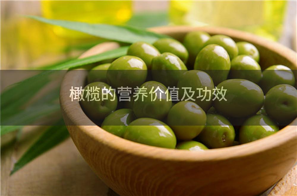 橄榄的营养价值及功效