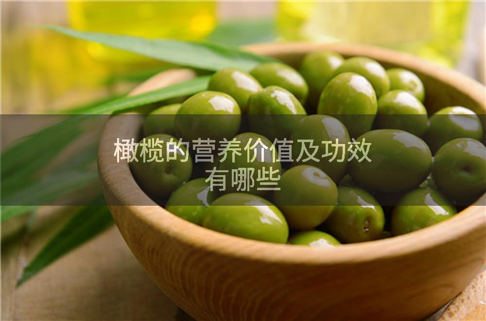 橄榄的营养价值及功效有哪些