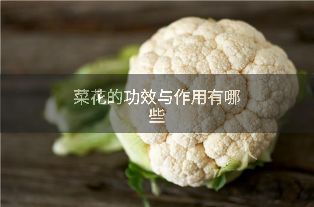 菜花的功效与作用有哪些