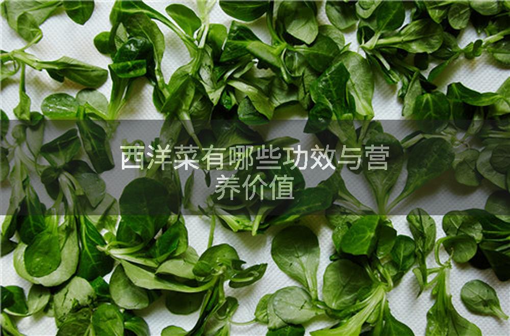 西洋菜有哪些功效与营养价值