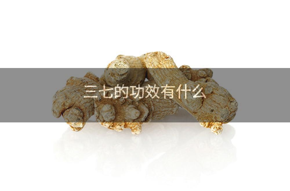 三七的功效有什么