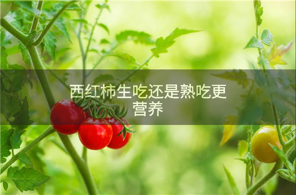 西红柿生吃还是熟吃更营养