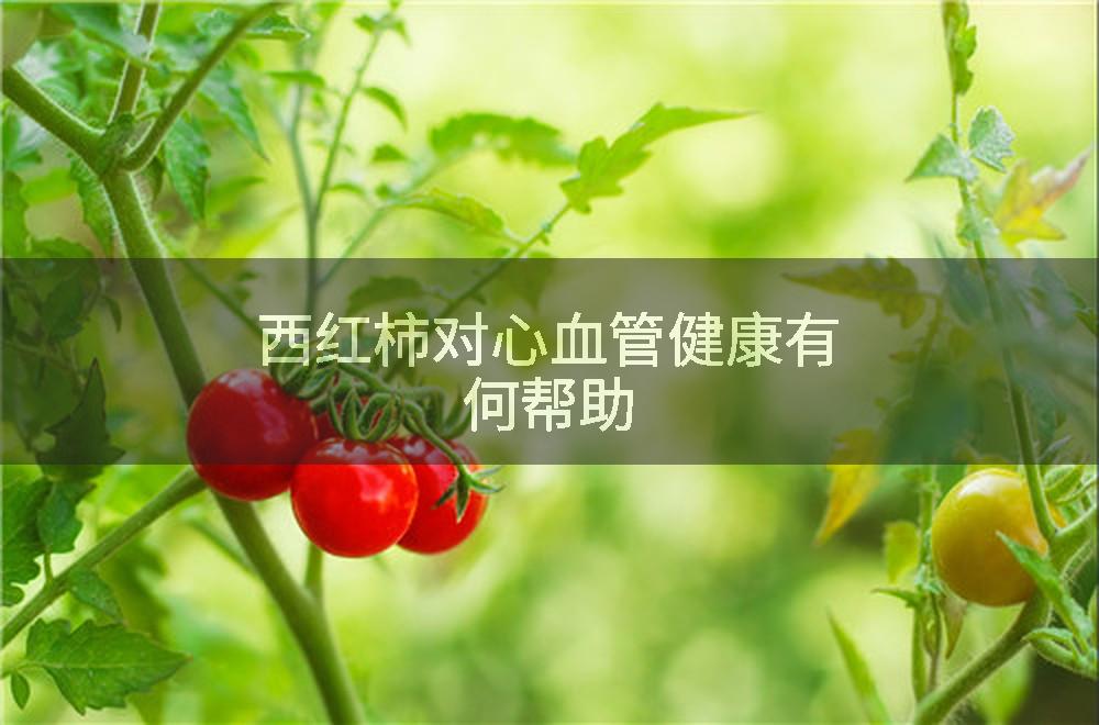西红柿对心血管健康有何帮助