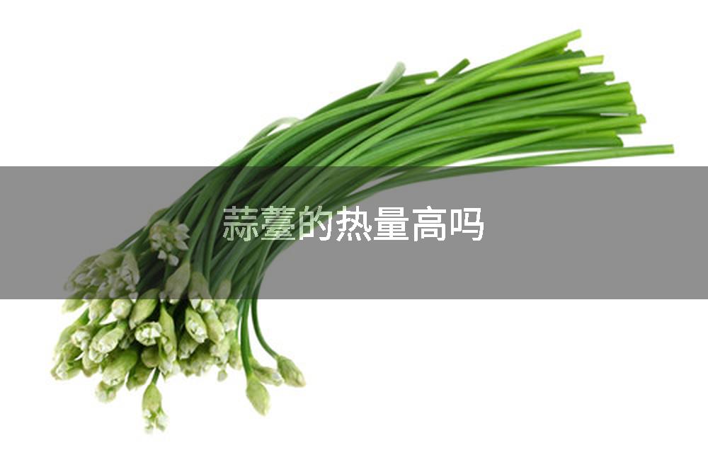 蒜薹的热量高吗