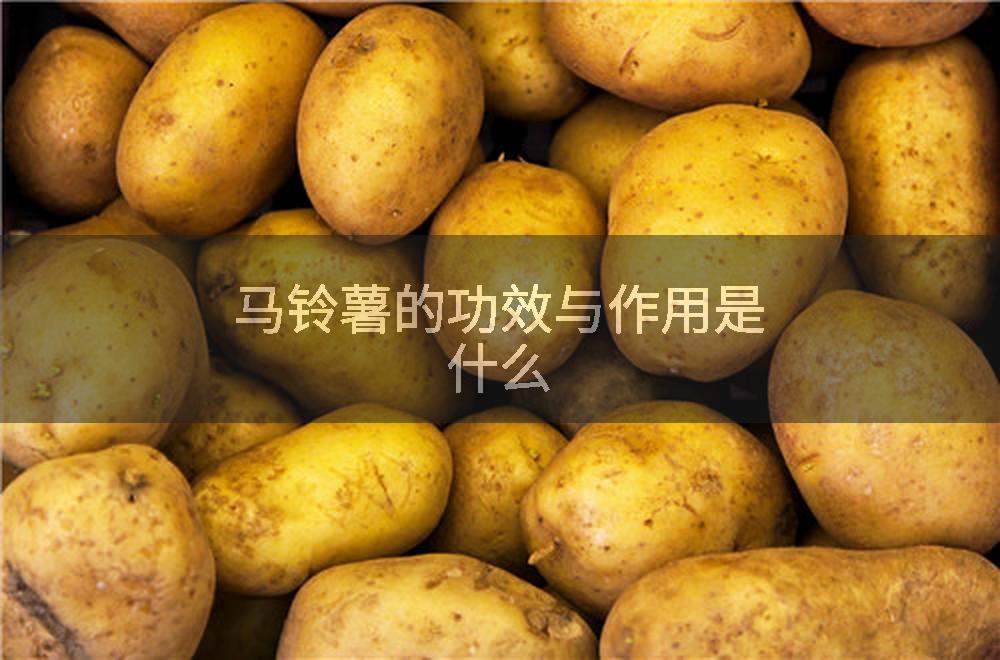 马铃薯的功效与作用是什么