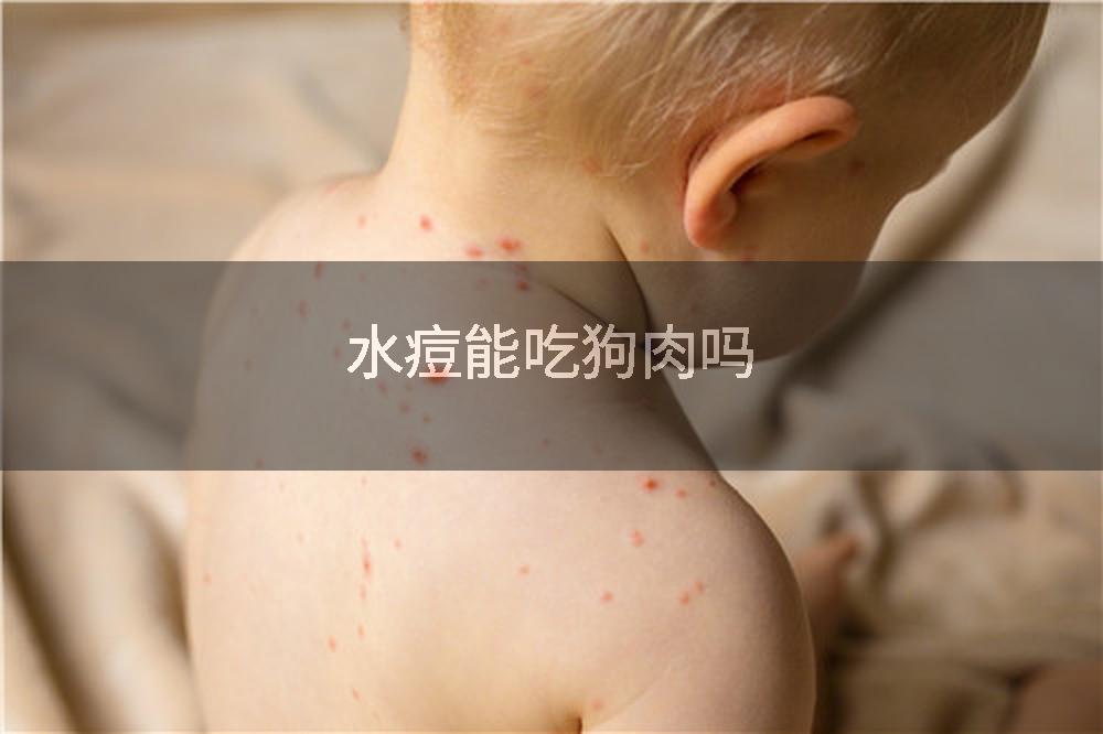 水痘能吃狗肉吗