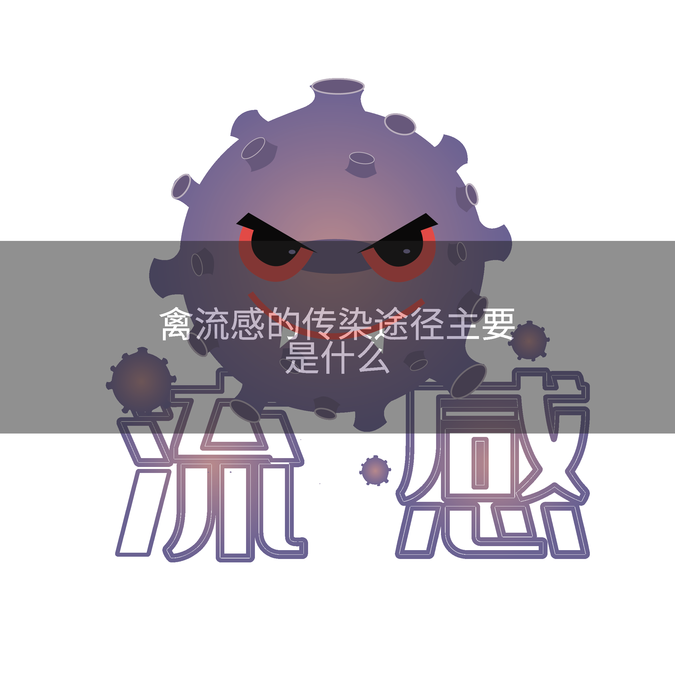 禽流感的传染途径主要是什么