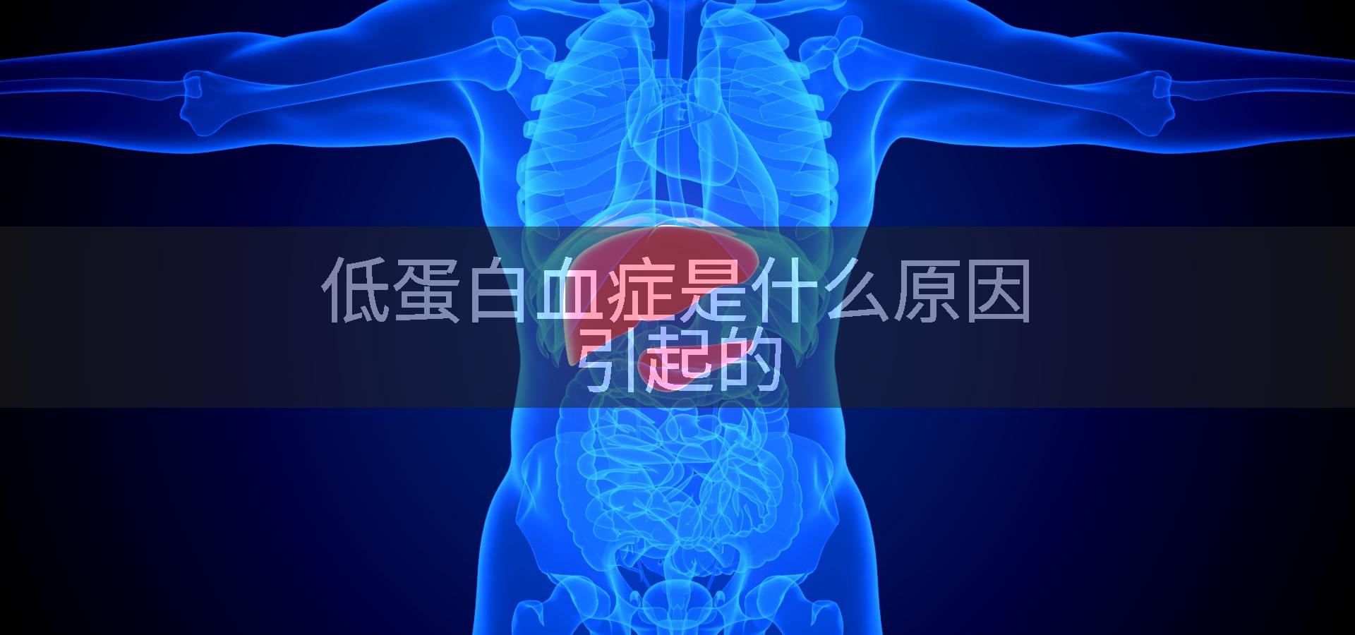低蛋白血症是什么原因引起的