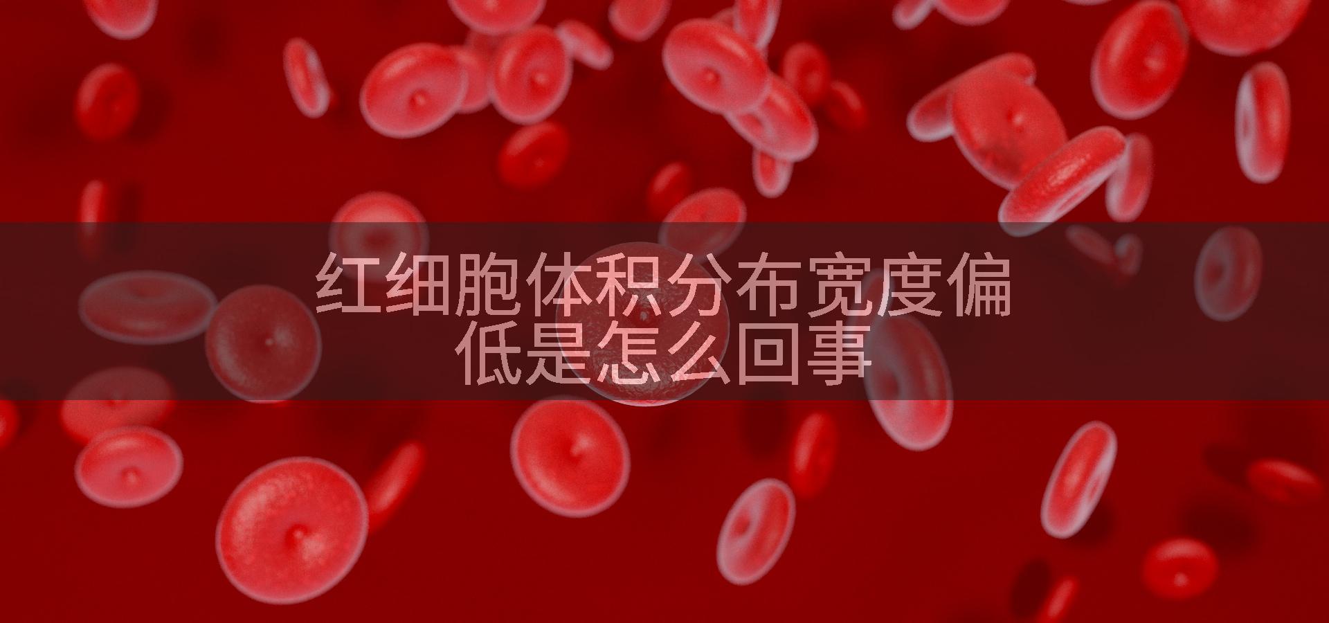 红细胞体积分布宽度偏低是怎么回事