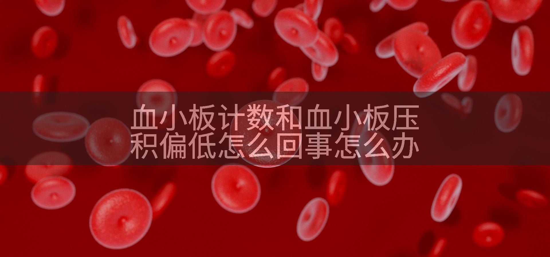 血小板计数和血小板压积偏低怎么回事怎么办