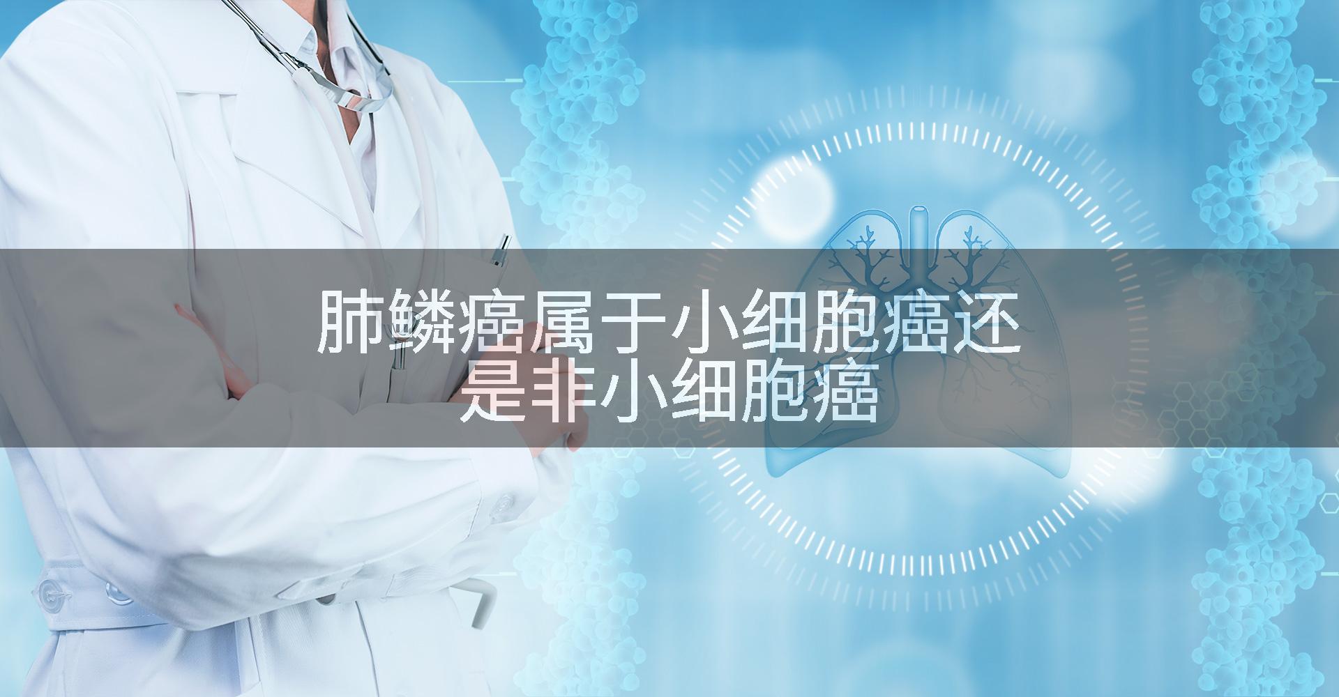 肺鳞癌属于小细胞癌还是非小细胞癌