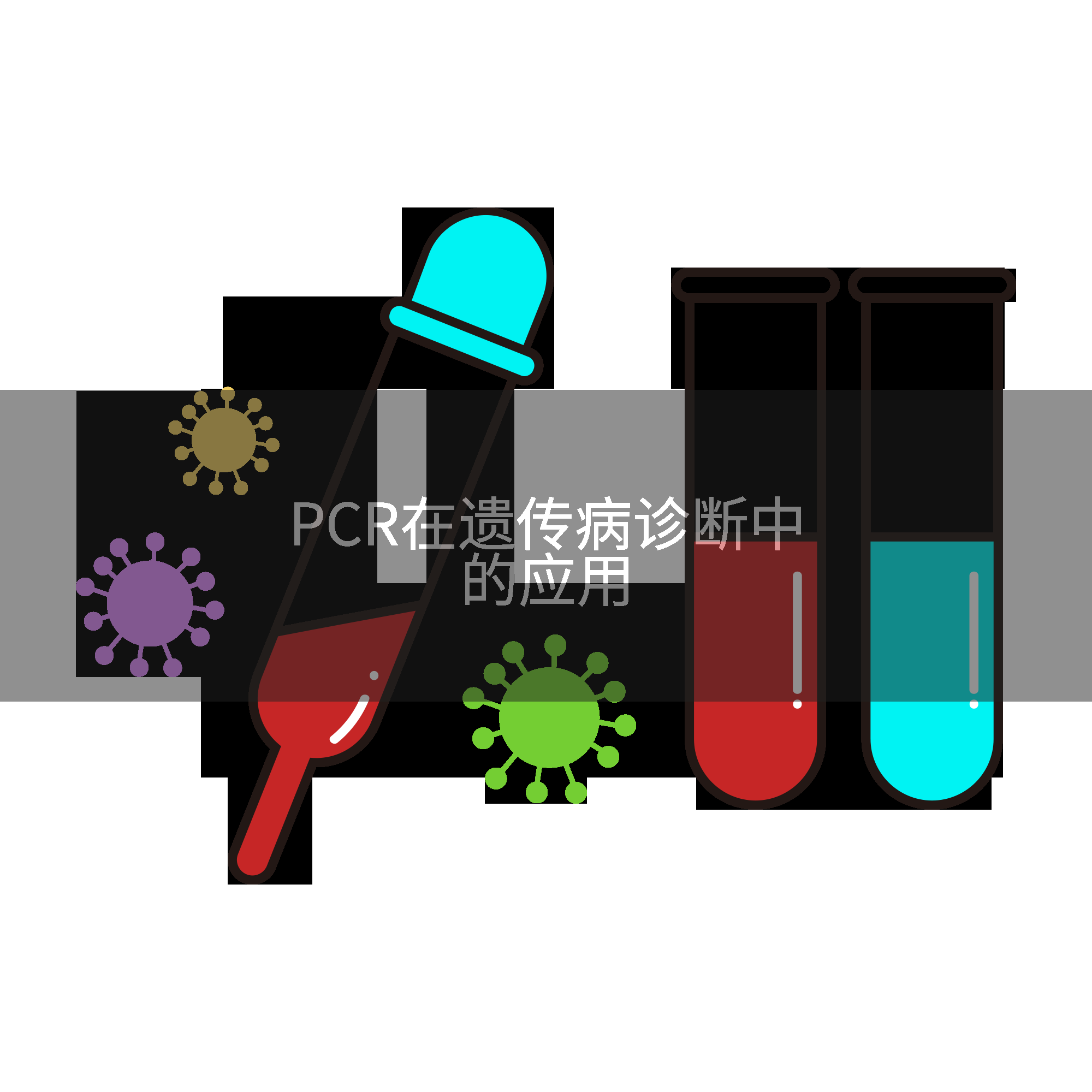 PCR在遗传病诊断中的应用