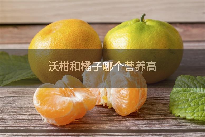沃柑和橘子哪个营养高