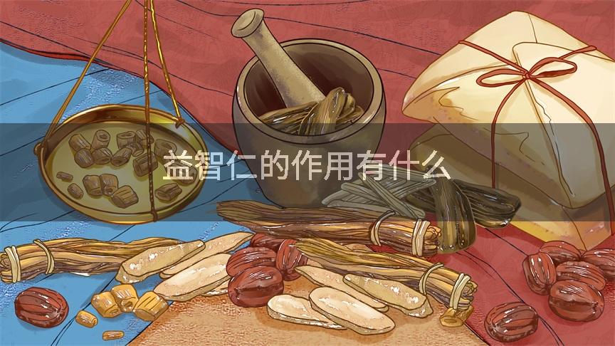 益智仁的作用有什么
