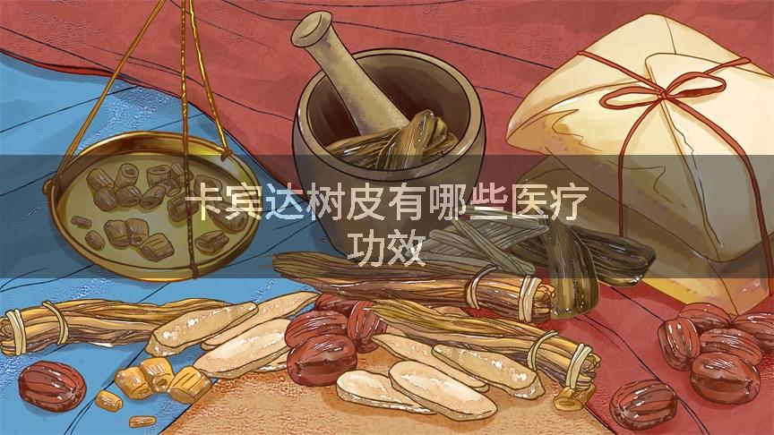 卡宾达树皮有哪些医疗功效