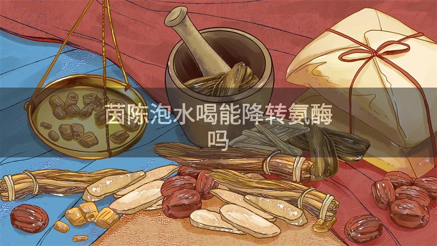 茵陈泡水喝能降转氨酶吗