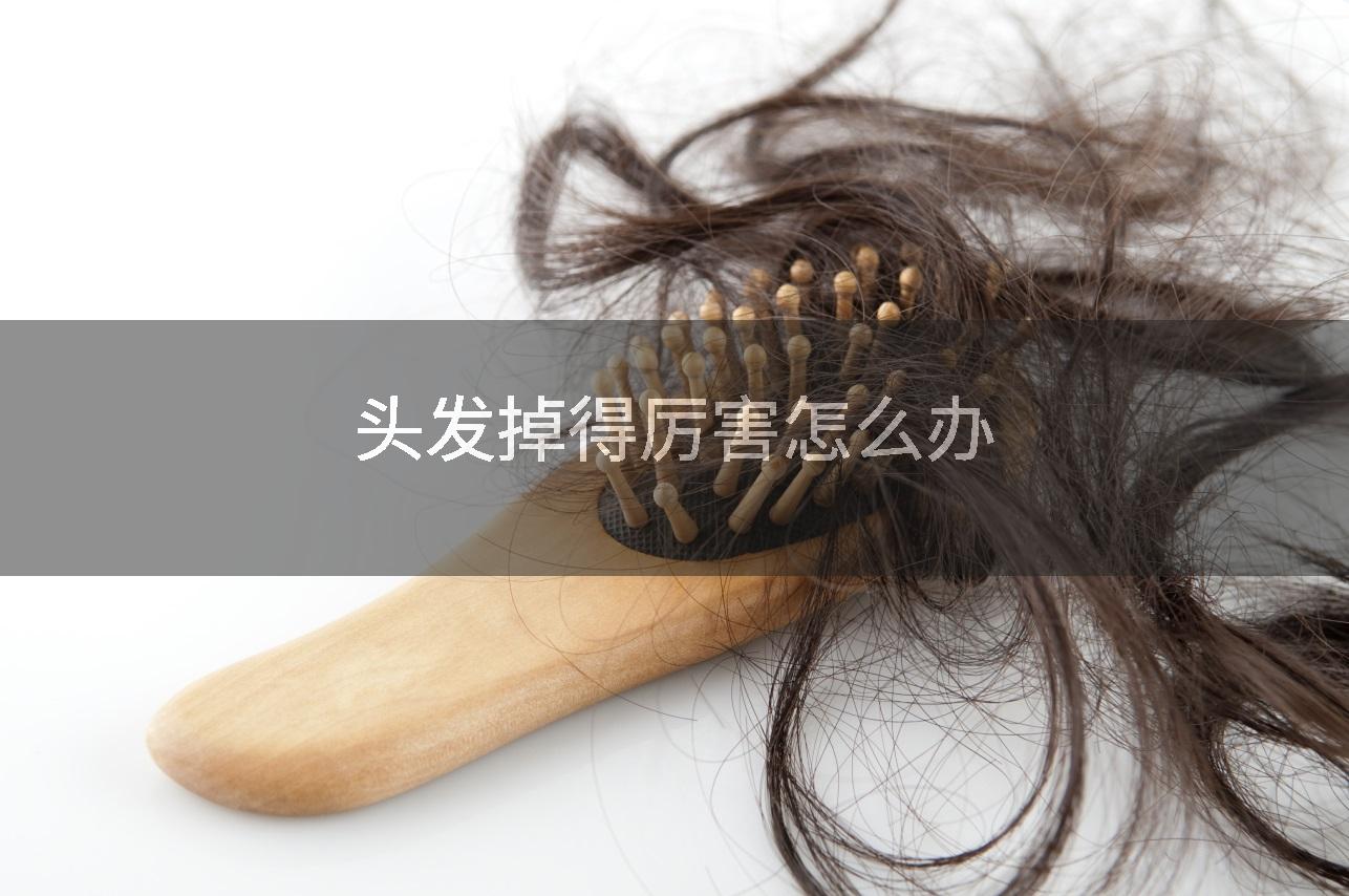 头发掉得厉害怎么办