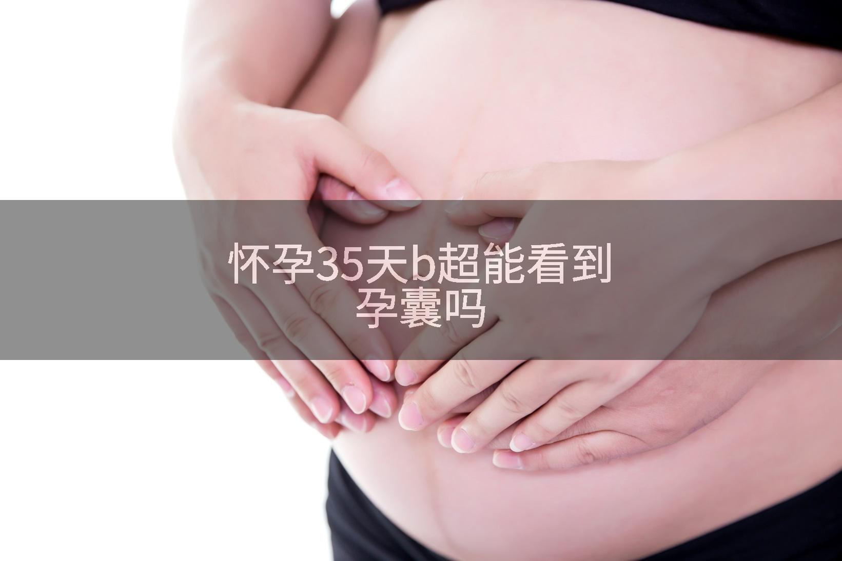 怀孕35天b超能看到孕囊吗