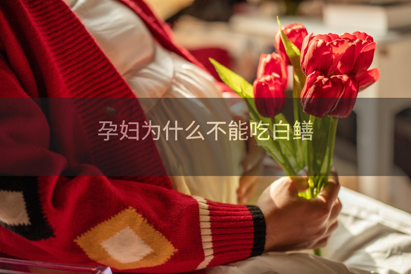 孕妇为什么不能吃白鳝