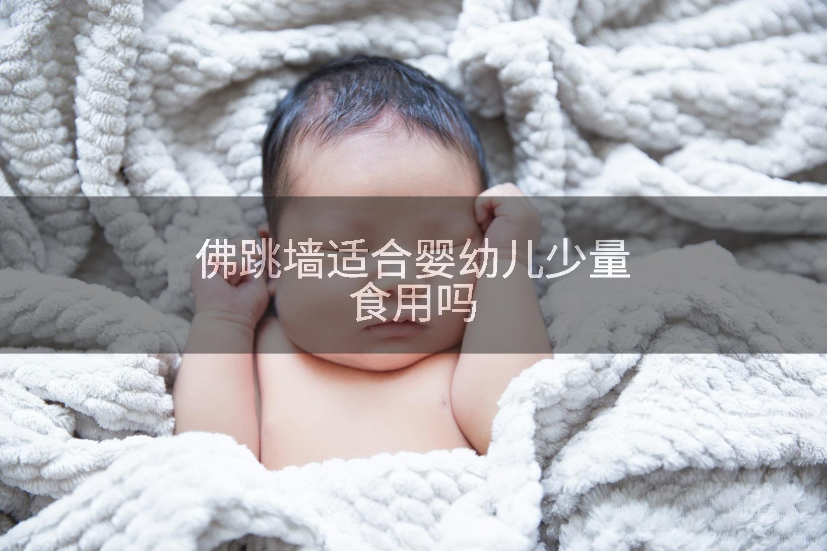 佛跳墙适合婴幼儿少量食用吗