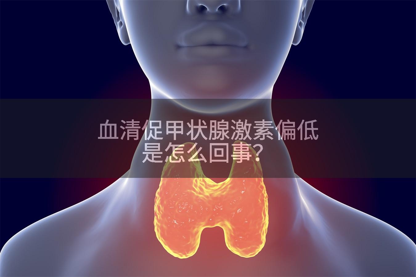 血清促甲状腺激素偏低是怎么回事？