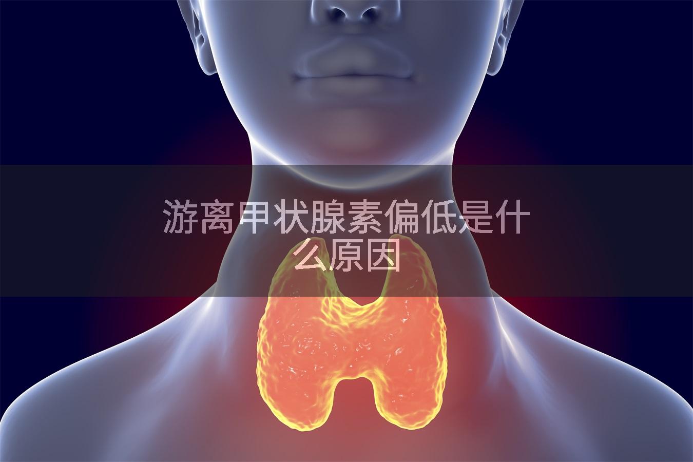 游离甲状腺素偏低是什么原因