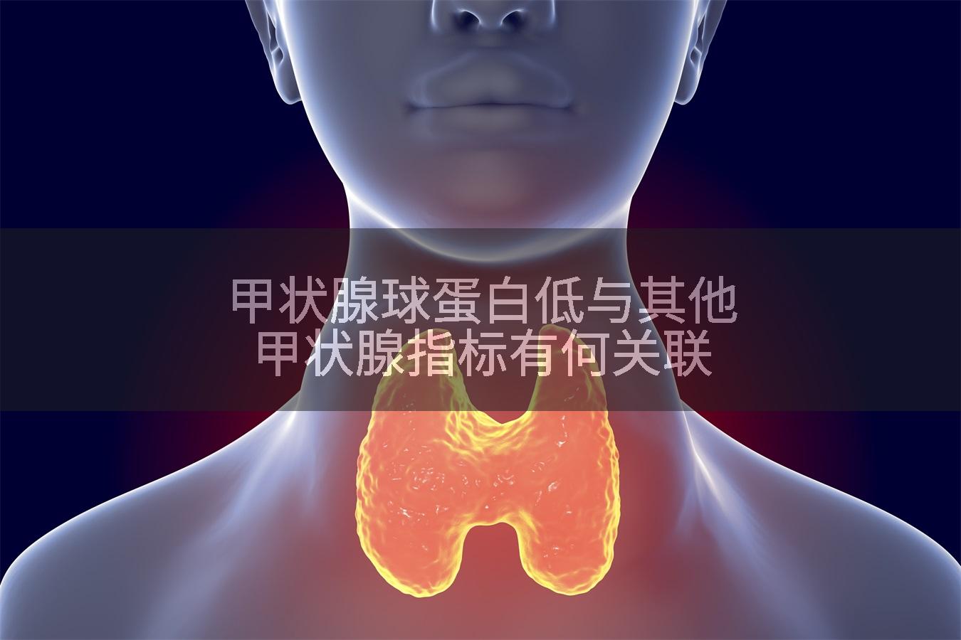 甲状腺球蛋白低与其他甲状腺指标有何关联