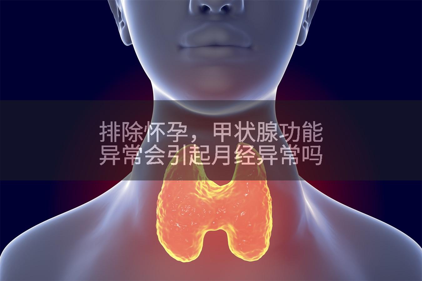 排除怀孕，甲状腺功能异常会引起月经异常吗