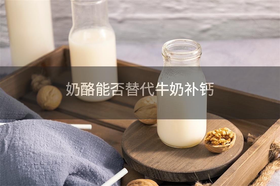 奶酪能否替代牛奶补钙