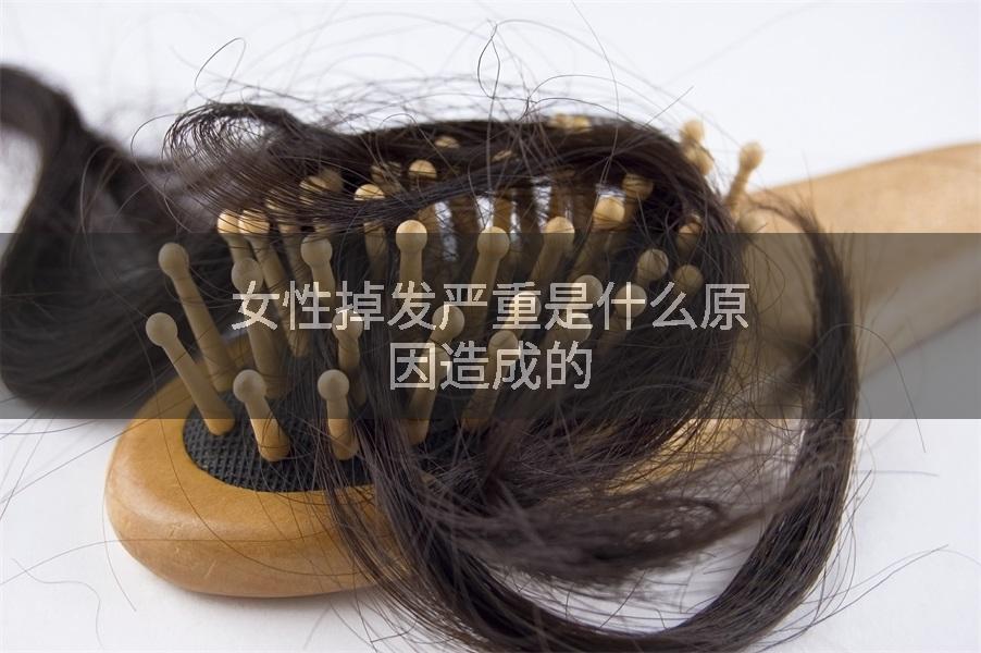 女性掉发严重是什么原因造成的