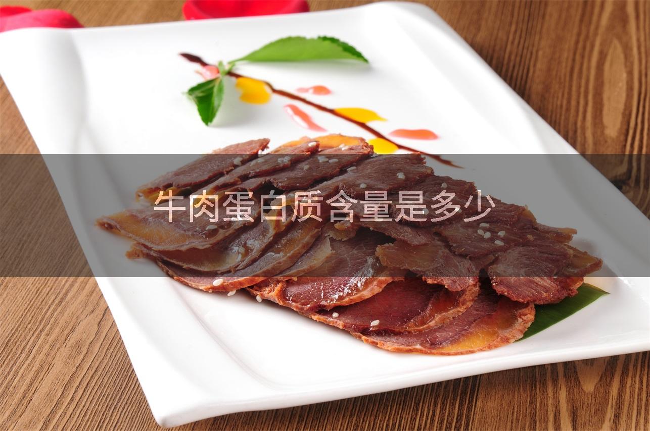 牛肉蛋白质含量是多少