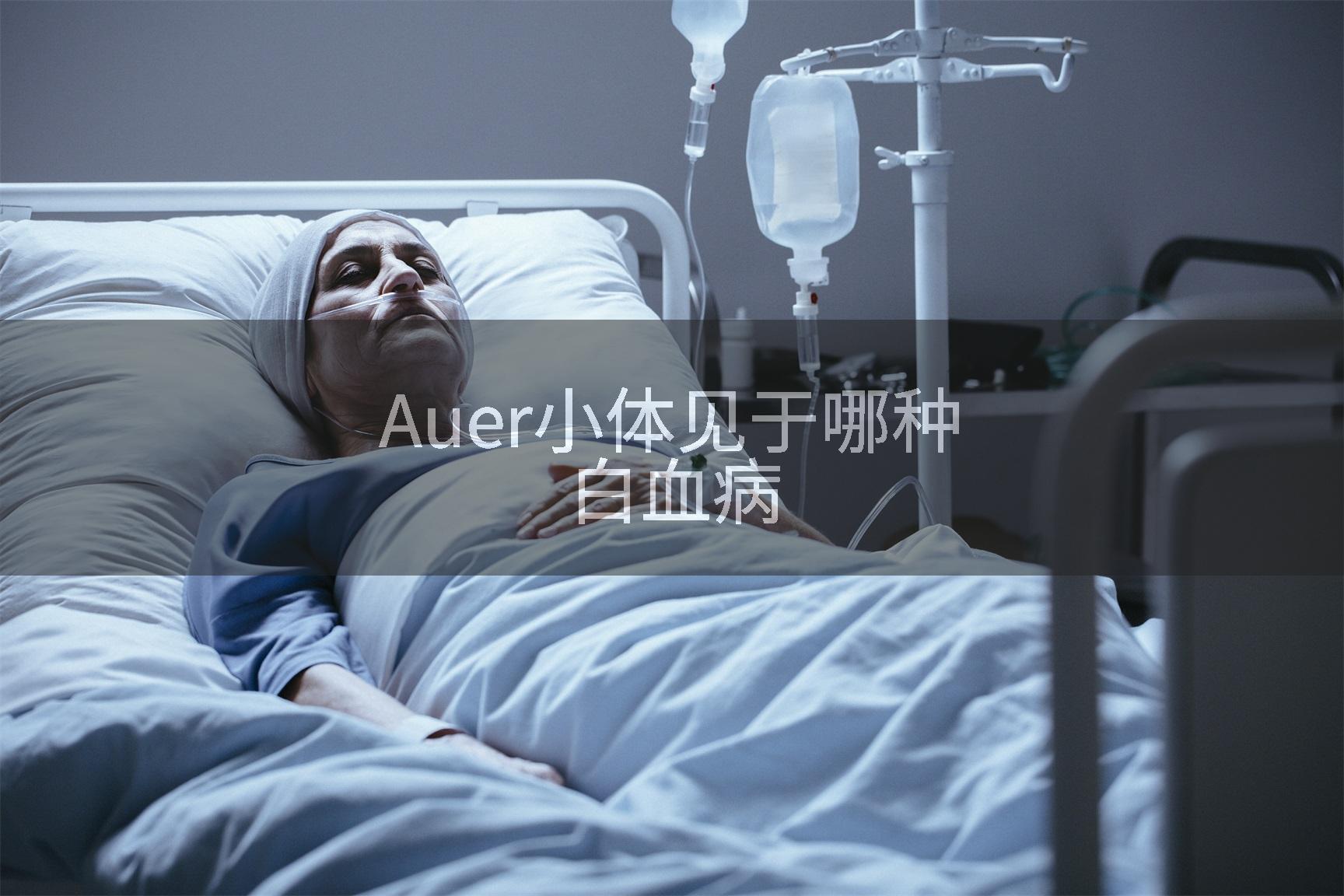 Auer小体见于哪种白血病