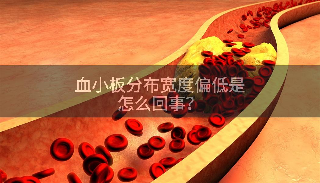 血小板分布宽度偏低是怎么回事？