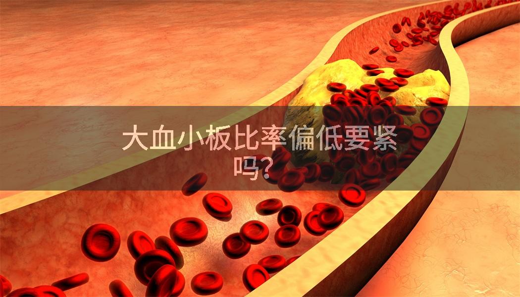 大血小板比率偏低要紧吗？