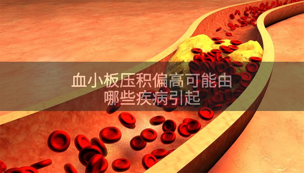 血小板压积偏高可能由哪些疾病引起