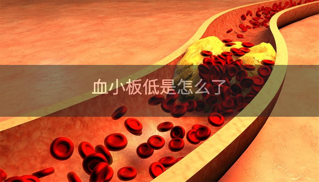血小板低是怎么了