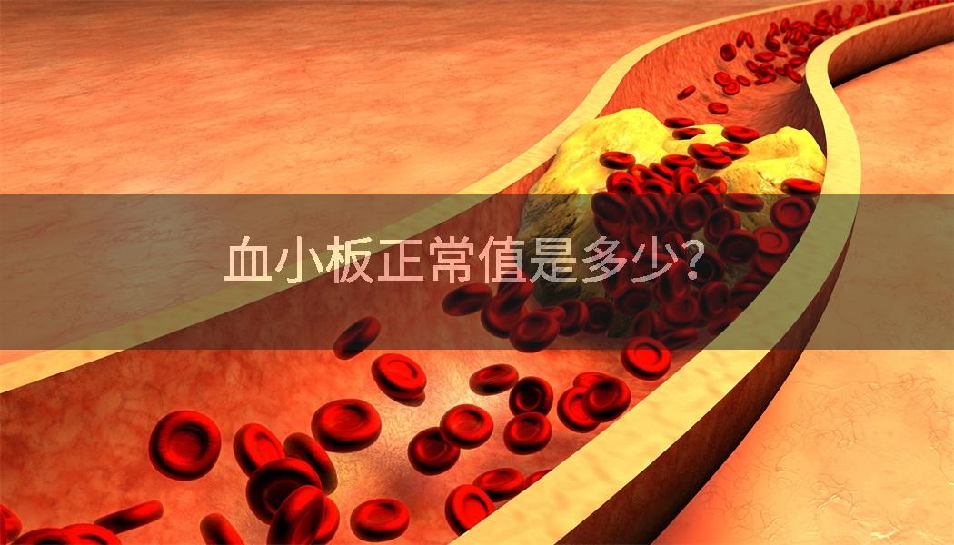 血小板正常值是多少？
